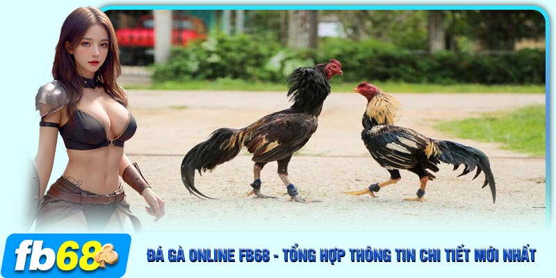 Tổng hợp các lợi ích siêu hấp dẫn tại đá gà online