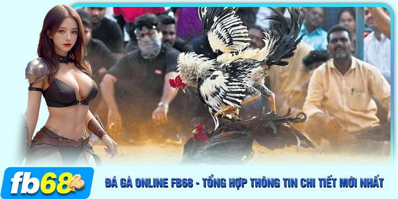 Thông tin về đá gà online tại sân chơi cá cược FB68