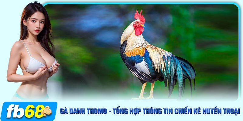 Gà que đỏ là một trong những cái tên cực kì đẳng cấp